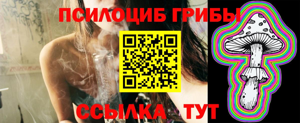 Карачаевск  Галлюциногенные грибы Psilocybe  Вход с VPN 