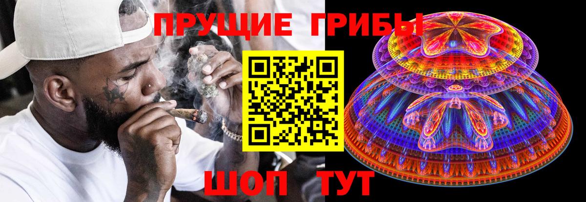 Галлюциногенные грибы Psilocybine cubensis Карачаевск