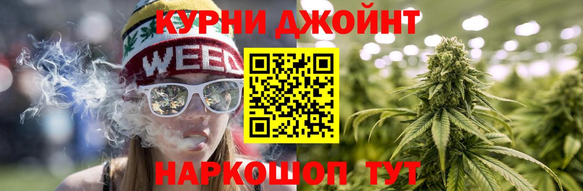 Бошки марихуана OG Kush Карачаевск
