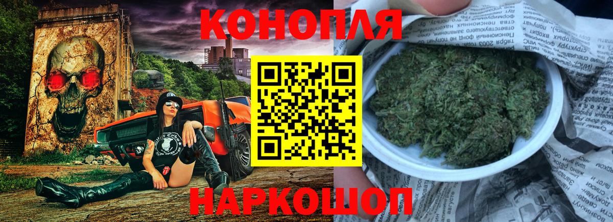 Конопля MAZAR  МАРИХУАНА семена  МАРИХУАНА VHQ  Карачаевск  Вход с VPN  Конопля White Widow 